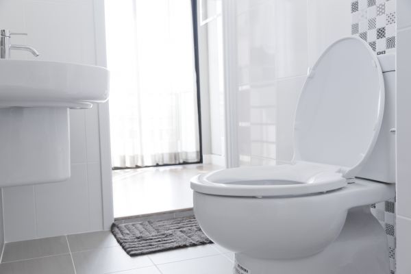 Cost of Toilet Relocation in Temple